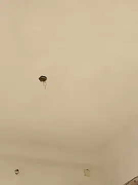 Lexi Baby  online show from 12/13/24, 08:09