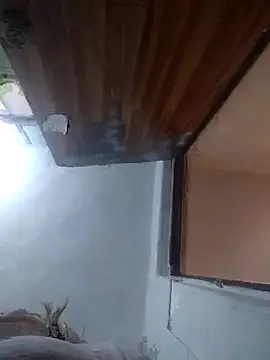 iDogrose21 online show from 12/15/25, 03:38