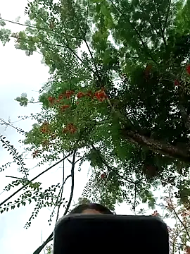 Karol-kamila19 online show from 12/03/24, 09:01