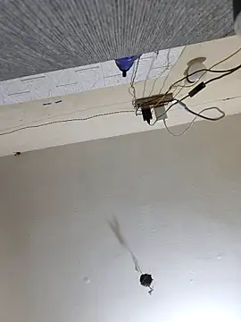 Neha8923 online show from 03/13/25, 01:32