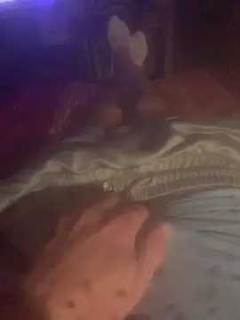 solomec online show from 10/13/25, 08:42