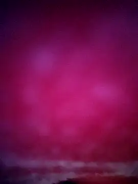 sana14 online show from 01/31/26, 08:51