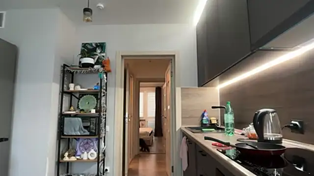 jainesummer online show from 12/04/25, 08:45