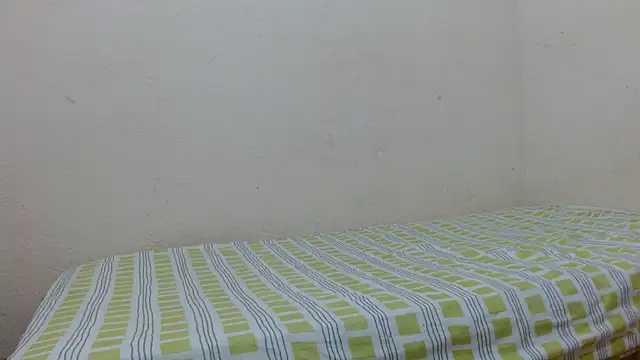 Evanhotx online show from 01/06/26, 08:45