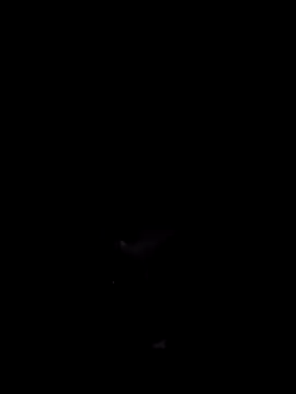 Donstark6669 online show from 01/23/25, 09:50