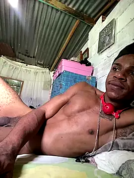 ElNegroRony online show from 12/02/24, 05:04