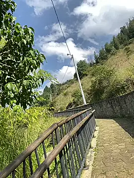 ElNegroRony online show from 12/09/24, 02:49