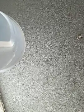 ariiel  online show from 01/14/26, 03:28