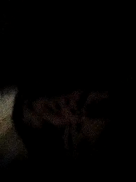 ruhi2003 online show from 12/03/24, 11:33