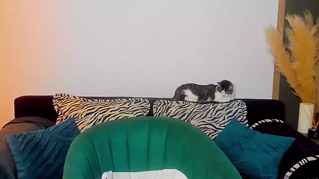 rora skyline online show from 03/05/26, 01:18