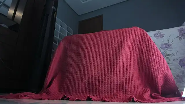 sherilkwang19tv online show from 01/12/26, 12:49