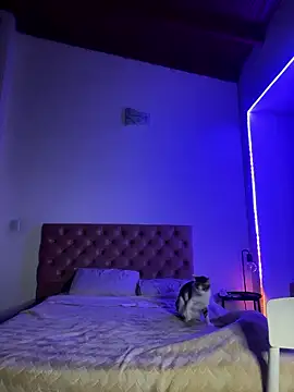 soygalaof online show from 01/11/26, 06:40