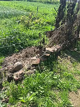 Snapshot of poision51 chatting on 02/23/25, 07:55 poision51 online show from 02/23/25, 07:55