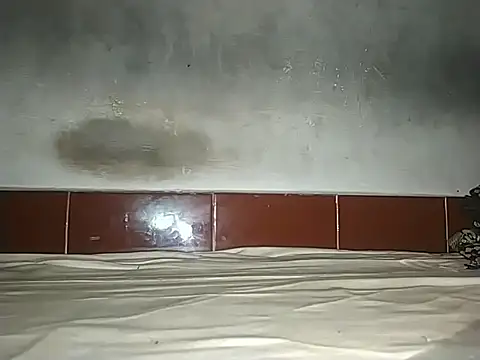 alansteer online show from 10/21/25, 08:15