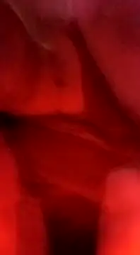 sosarax online show from 02/05/25, 03:20