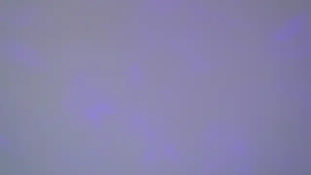 SelinSwarovski online show from 11/01/25, 05:09