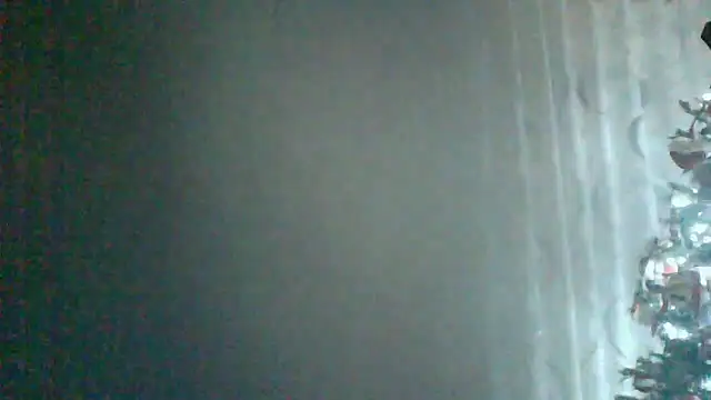 HardWolf2024 online show from 12/24/24, 12:11