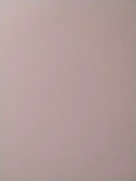 PracticalGum40 online show from 12/02/24, 10:18