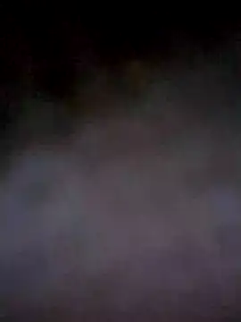 PracticalGum40 online show from 12/04/24, 03:37