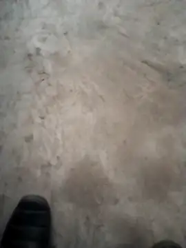 PracticalGum40 online show from 12/18/24, 04:49