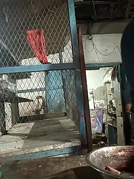 Skinny Bigass 23 online show from 02/10/25, 02:59