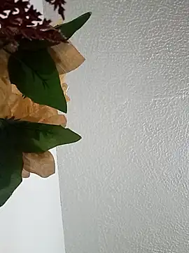 Naomy veracruz  online show from 02/24/26, 10:02