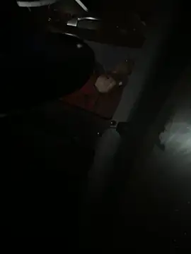 Mustafa-231 online show from 11/29/25, 06:33