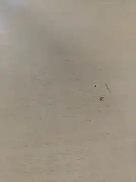 Snapshot of shale26 chatting on 09/28/25, 07:36 shale26 online show from 09/28/25, 07:36