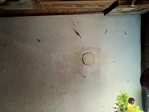 realoneNocap online show from 11/12/25, 05:57