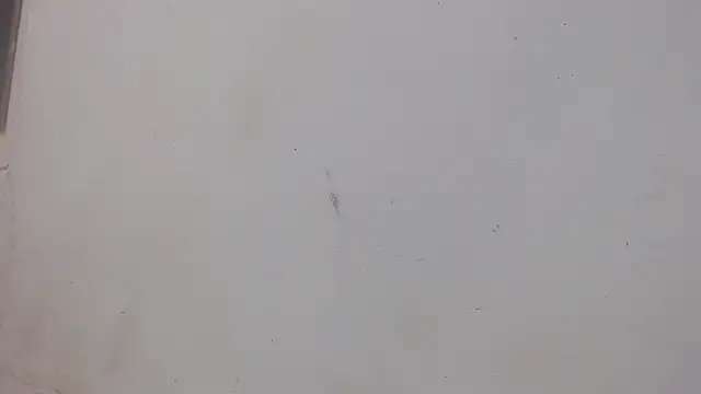 Snapshot of danilo302209 chatting on 02/01/25, 01:02 danilo302209 online show from 02/01/25, 01:02