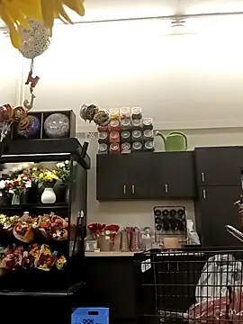 kobrashekyng online show from 10/20/25, 02:39