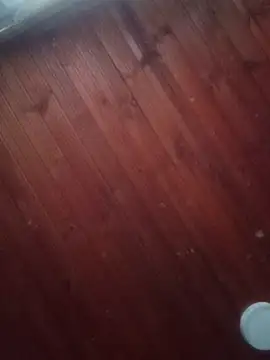 Snapshot of Darly_Gomez chatting on 03/03/25, 10:10 Darly Gomez online show from 03/03/25, 10:10