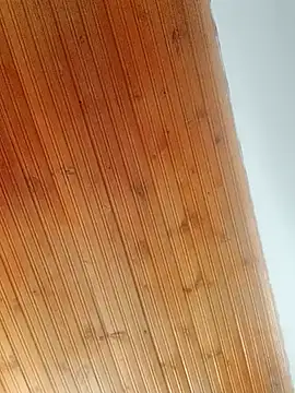 Snapshot of Darly_Gomez chatting on 03/20/25, 03:47 Darly Gomez online show from 03/20/25, 03:47