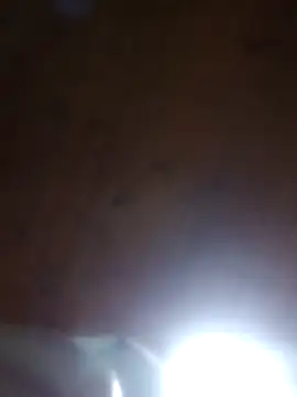 Snapshot of Darly_Gomez chatting on 03/23/25, 12:04 Darly Gomez online show from 03/23/25, 12:04