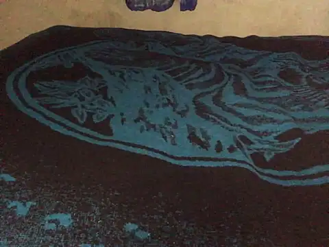 manuamador online show from 03/20/25, 04:18