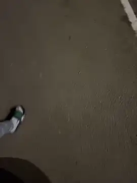 Lahcene online show from 11/20/25, 06:29