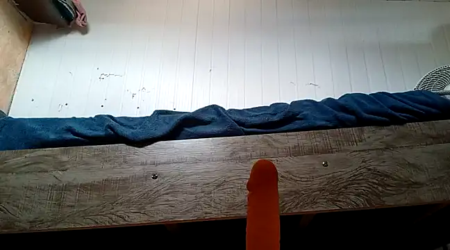 frotasso online show from 01/22/25, 10:40