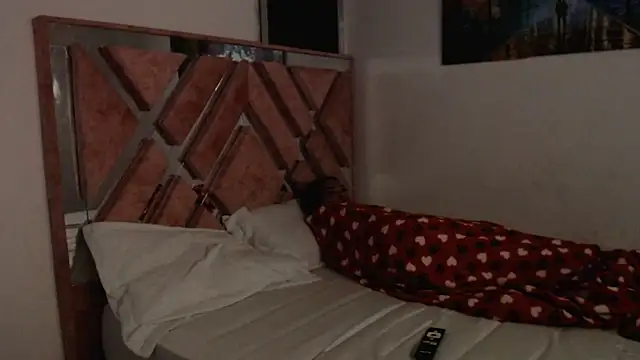 Snapshot of dream_fulfilled chatting on 02/18/25, 04:04 dream fulfilled online show from 02/18/25, 04:04