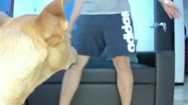 boss of cash online show from 10/18/25, 01:30