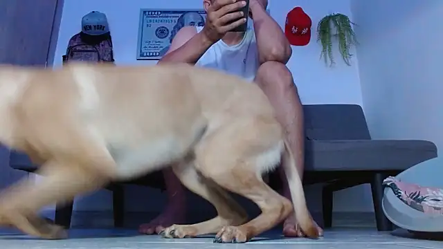 boss of cash online show from 04/02/26, 08:28