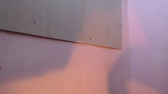 mr stiven  online show from 03/22/25, 02:16