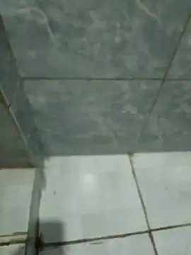 Pretordr online show from 03/12/25, 10:28