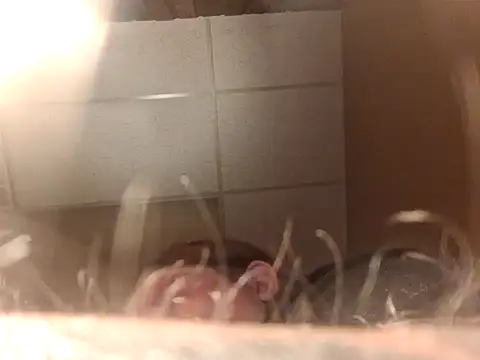 chrissybear84 online show from 06/26/26, 12:42
