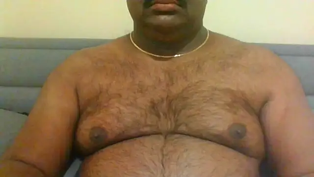 indianbearbot online show from 01/11/25, 08:54