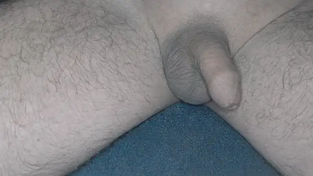 cs1512 online show from 02/26/25, 04:36