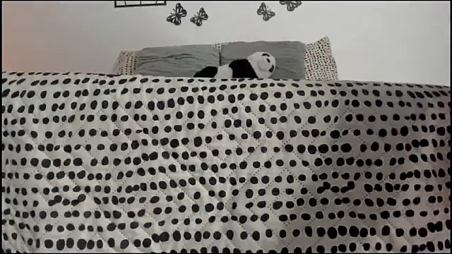 Keiny-Rave online show from 03/18/25, 01:32