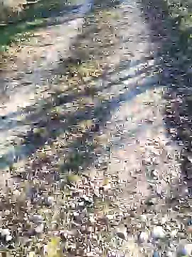 sansan2411 online show from 01/12/25, 02:41