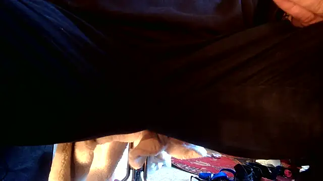 SilverandFox online show from 09/10/25, 05:46