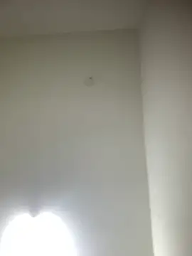 Snapshot of bidex002 chatting on 05/16/26, 12:18 bidex002 online show from 05/16/26, 12:18