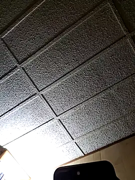 zaneporter46 online show from 02/25/25, 03:42